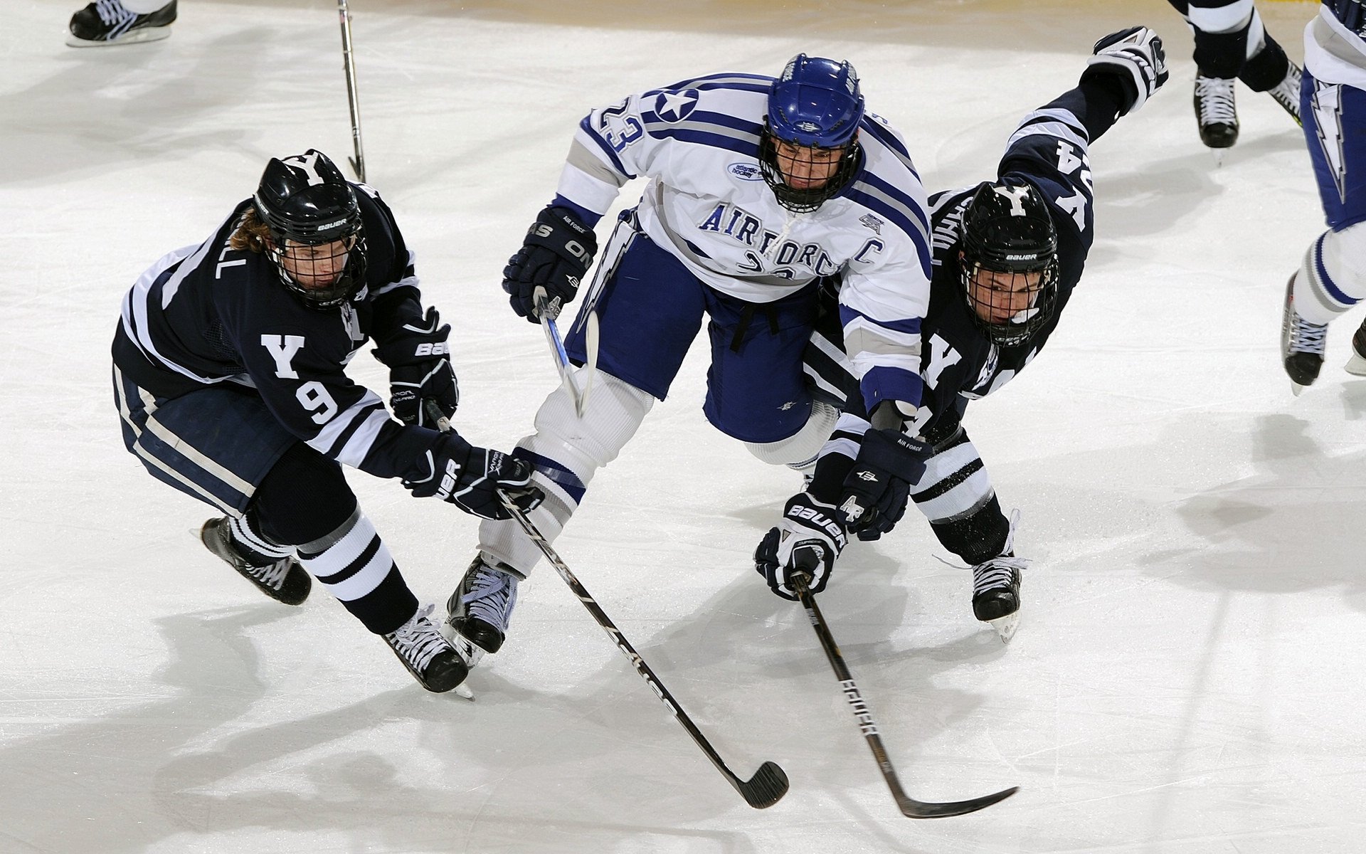 青少年体育运动安全保障体系,青少年体育运动安全保障体系是什么
